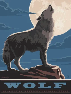 Puzzle Pod - Wolf  Wolf