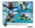 Underwater Dogs 2 Dogs Jigsaw Puzzle