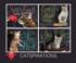Catspirations Cats Jigsaw Puzzle
