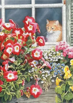 Garden Gazing - Cats in the Country Cats