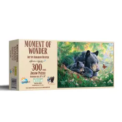 Moment of Wonder Bear