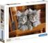 Kittens - Scratch and Dent Cats Jigsaw Puzzle