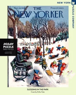 Sledding in the Park Winter