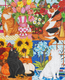 Four Seasons of Cats Cats