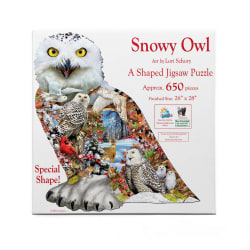 Snowy Owl Birds