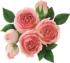 Rose All Day Flower & Garden Shaped Puzzle