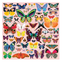 Brilliant Butterflies Butterflies and Insects