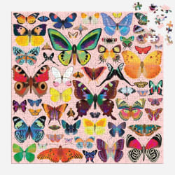 Brilliant Butterflies Butterflies and Insects