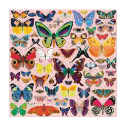 Brilliant Butterflies Butterflies and Insects