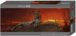 Red Dawn Jungle Animals