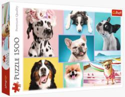 Cute Dogs Dogs Jigsaw Puzzle