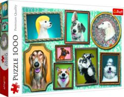 Doggies Gallery Dogs Jigsaw Puzzle