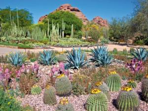 Scenic Photography- Arizona Landscape Jigsaw Puzzle By Ceaco