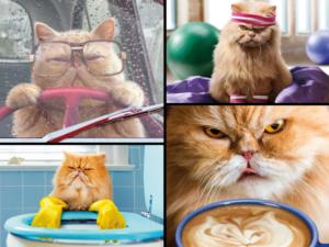 Cranky Kitties - Awesome Foursome Humor Jigsaw Puzzle By Ceaco