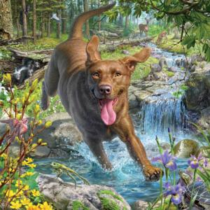 Chocolate Lab Lakes & Rivers Jigsaw Puzzle By Ceaco
