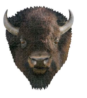 I AM Bison Animals Jigsaw Puzzle By Madd Capp Games & Puzzles
