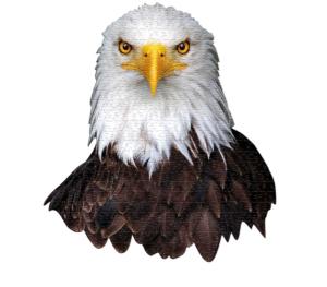I AM Eagle Eagle Jigsaw Puzzle By Madd Capp Games & Puzzles