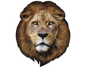 I AM Lion Big Cats Jigsaw Puzzle By Madd Capp Games & Puzzles