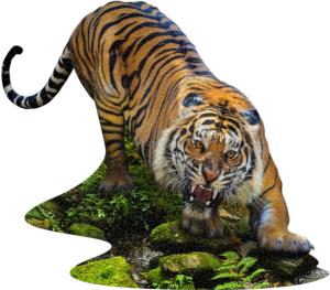 I AM TIGER Big Cats Jigsaw Puzzle By Madd Capp Games & Puzzles
