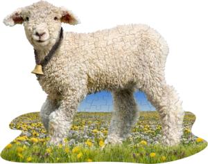 I Am Lil' Lamb