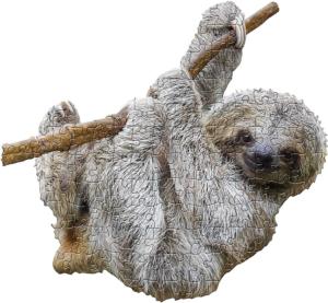 I Am Lil' Sloth