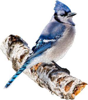 I Am Blue Jay Birds Jigsaw Puzzle By Madd Capp Games & Puzzles