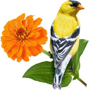 I Am Goldfinch - Scratch and Dent Birds Jigsaw Puzzle By Madd Capp Games & Puzzles