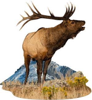 I Am Elk Animals Jigsaw Puzzle By Madd Capp Games & Puzzles