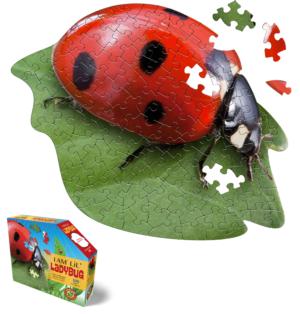 I Am Lil' Lady Bug Butterflies and Insects Children's Puzzles By Madd Capp Games & Puzzles