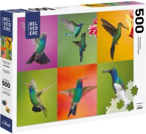 Hummingbird Collage Collage Jigsaw Puzzle By Pierre Belvedere
