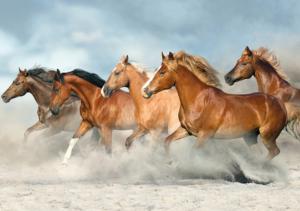 Wild Horses Horses Jigsaw Puzzle By Pierre Belvedere