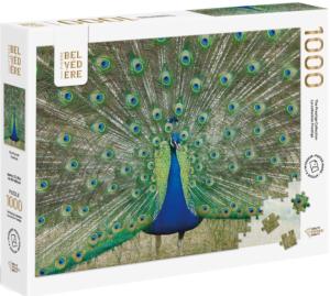Blue Peacock Birds Jigsaw Puzzle By Pierre Belvedere
