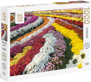 Chrysanthemum Garden Flower & Garden Jigsaw Puzzle By Pierre Belvedere