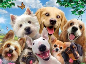 Dog Selfie Dogs Children's Puzzles By Prime 3d Ltd