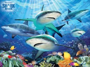 Shark Reef Shark Week - Discovery Sea Life Children's Puzzles By Prime 3d Ltd