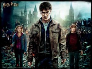 Harry, Hermione And Ron Harry Potter Lenticular Puzzle By Prime 3d Ltd