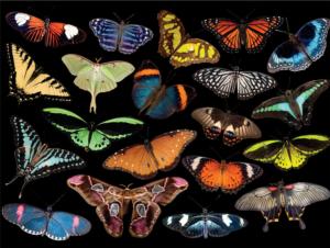 Winged Jewels Photography Jigsaw Puzzle By Buffalo Games