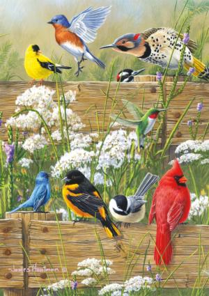 Songbird Menagerie Nature Large Piece By Buffalo Games