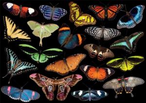Winged Jewels Butterflies and Insects Jigsaw Puzzle By Buffalo Games