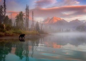 Bear Reflection National Parks Jigsaw Puzzle By Buffalo Games