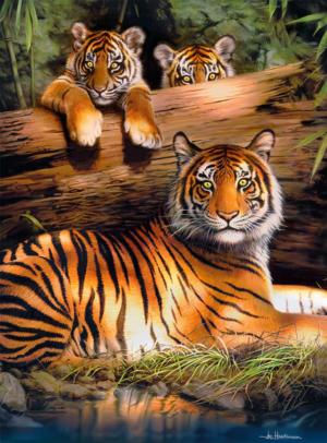 Quiet Fire Tigers Jigsaw Puzzle By Buffalo Games