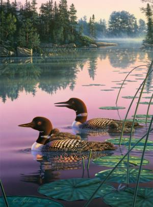Northern Splendor Lakes & Rivers Jigsaw Puzzle By Buffalo Games