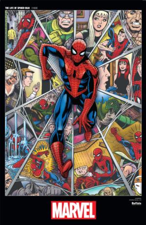 The Life of Spider-Man Superheroes Large Piece By Buffalo Games