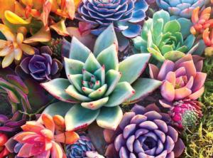 Simple Succulent Flower & Garden Jigsaw Puzzle By Buffalo Games