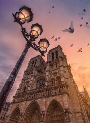Wonders of Notre Dame Churches Jigsaw Puzzle By Buffalo Games