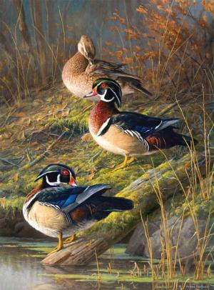 At Their Finest Birds Jigsaw Puzzle By Buffalo Games