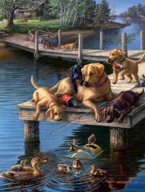 Summer School Lakes & Rivers Jigsaw Puzzle By Buffalo Games