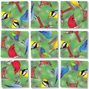North American Birds Birds Non-Interlocking Puzzle By Scramble Squares