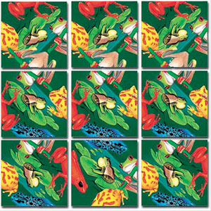 Frogs Reptile & Amphibian Non-Interlocking Puzzle By Scramble Squares