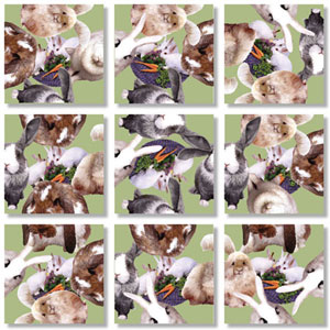 Bunnies Animals Non-Interlocking Puzzle By Scramble Squares